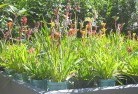 Quindanningplant-nursery-17.jpg; ?>