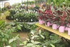Quindanningplant-nursery-7.jpg; ?>