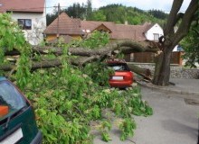 Kwikfynd Tree Cutting Services
quindanning