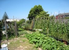 Kwikfynd Vegetable Gardens
quindanning